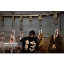 نظارت ۶۰ بازرس بهداشتی بر عرضه و ذبح دام قربانی در کرمانشاه