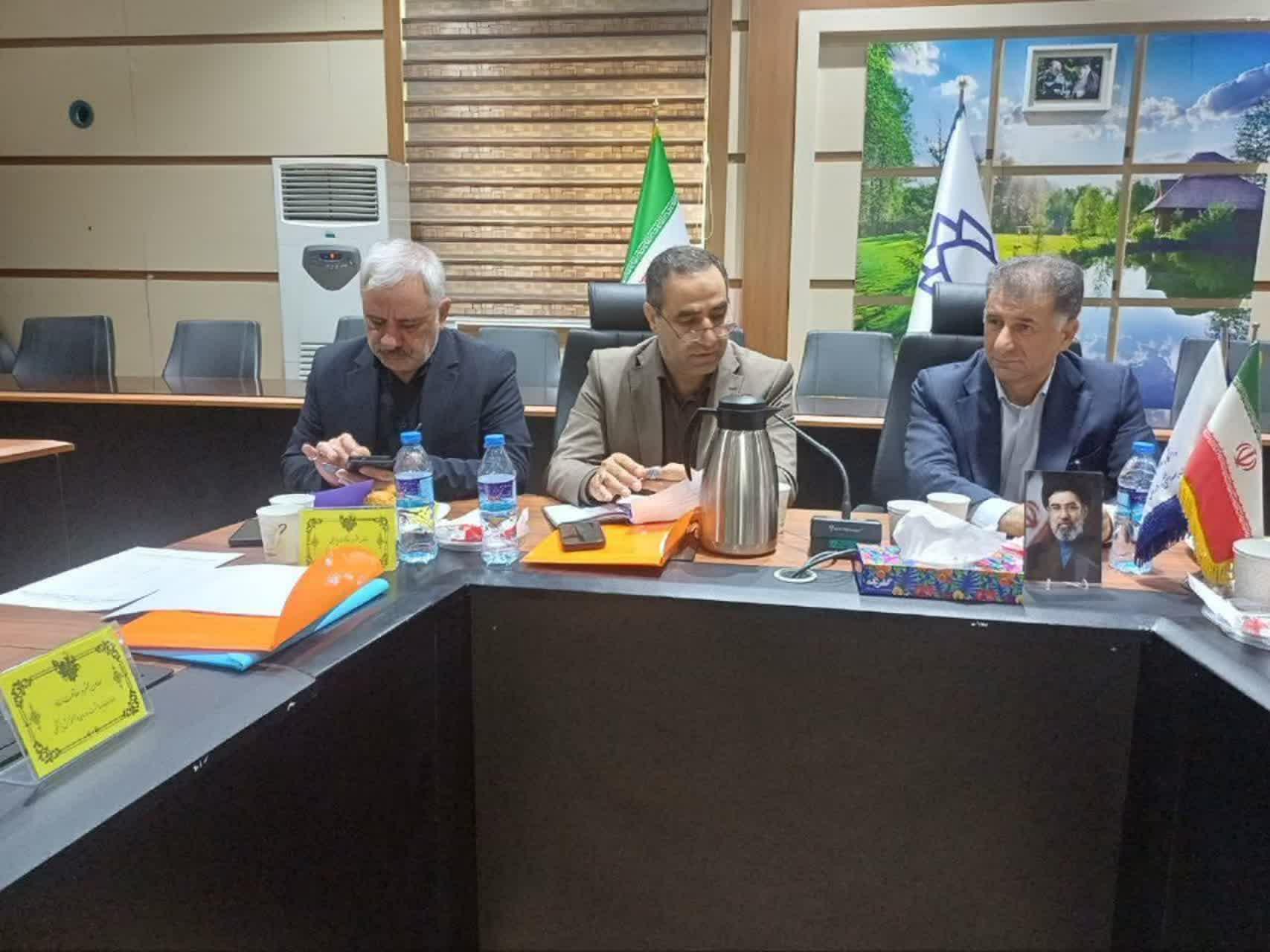 رسانه جدید